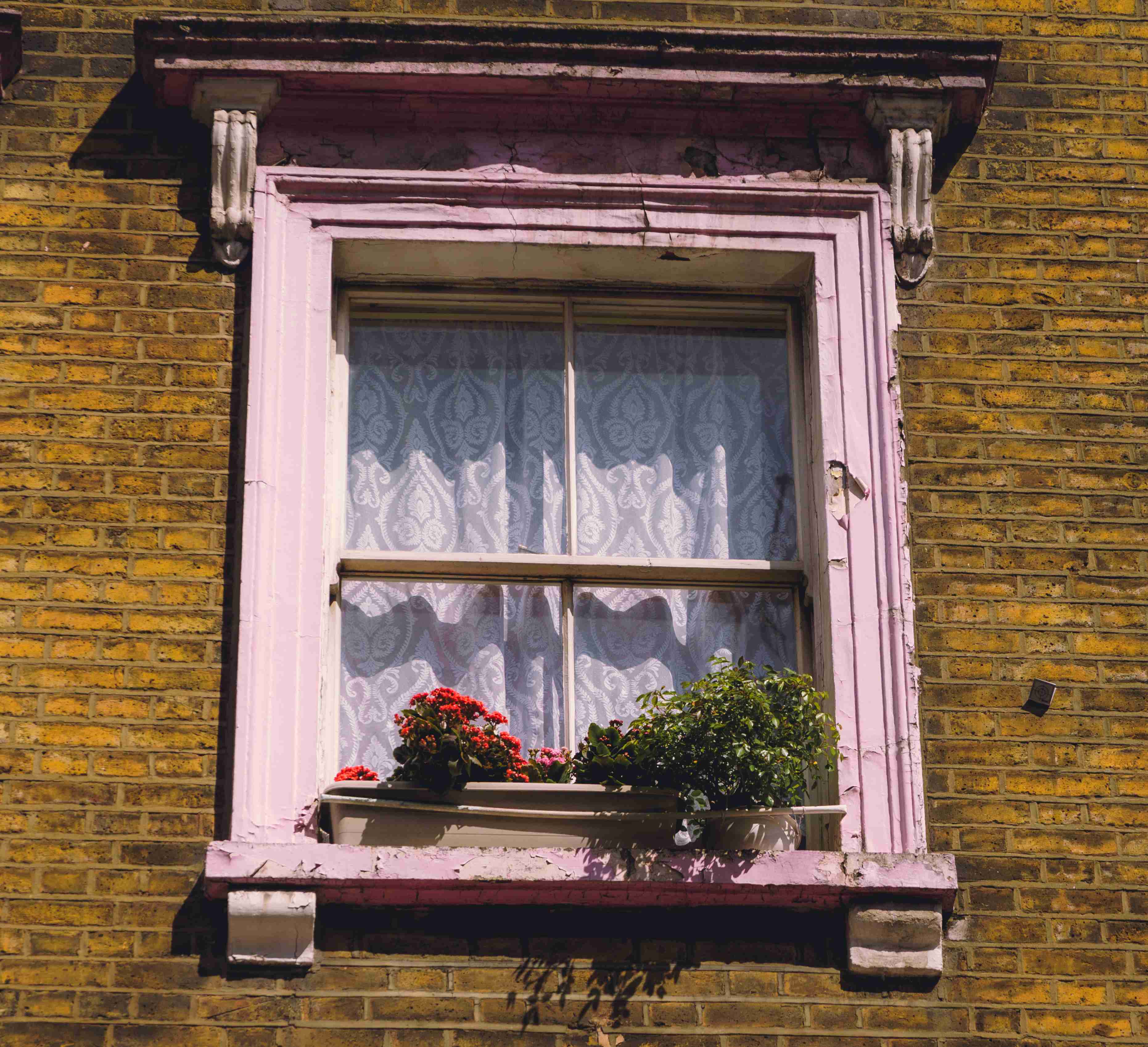 Plant Pot On A Window Sill